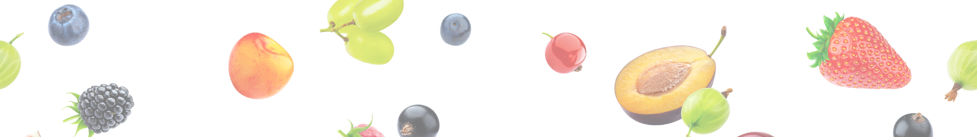 Banner-header